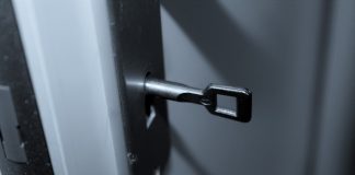 ‘Olot: crònica d’un segrest’