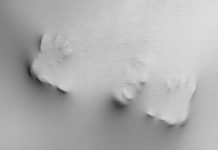 ‘El que susurra’, Malenka Ramos