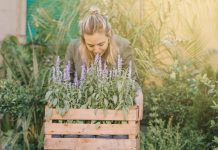 ‘Deliciosa natura’, un menú molt natural