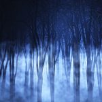 3D foggy forest