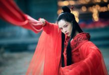 Crítica de “The knight of shadows: between Yin and Yang”