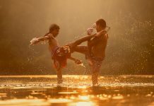 Film challenge de juliol. Pel·lícules de kung fu