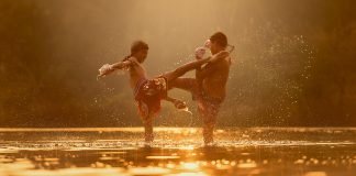 Film challenge de juliol. Pel·lícules de kung fu