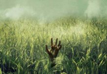 ‘In the tall grass’, la història que obrirà Sitges