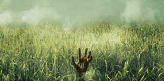 ‘In the tall grass’, la història que obrirà Sitges