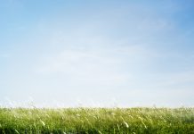 ‘Los asquerosos’, Santiago Lorenzo