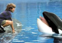 CINECLUB XIC. ¡Liberad a Willy!