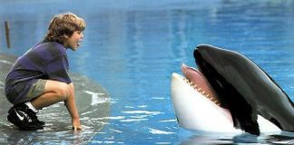 CINECLUB XIC. ¡Liberad a Willy!