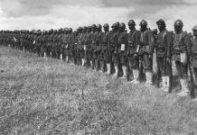 La Llibreria Anglada ens recomana… “Germans d’ànima”