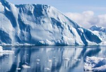 “Sueños árticos”, un gel molt viu!