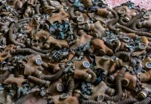 “L’últim amor de Baba Dúnia”, Alina Bronski