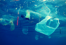 “Antropocè”: Tenim el problema dins de casa