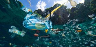 Viure sense plàstic és possible!