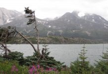 Meravelles del món: ‘El río de la luz’, Javier Reverte