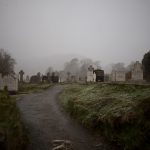 Beautiful view of an old graveyard surrounded by trees captured in the foggy weather