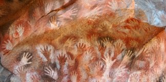 “Sàpiens: Una història gràfica”