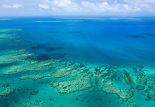 Meravelles d’Austràlia: “Boomerang”, Xavier Moret