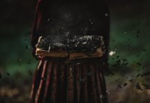 “Magia robada”, Trudi Canavan