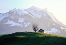 Albert Villaró presenta “La companyia nòrdica” a Vic