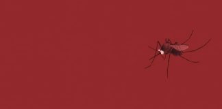 Festival de cinema a la fresca de Manlleu