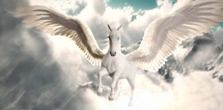 Miquel Sánchez publica la seva segona novel·la