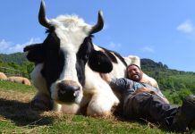 “Animales como tú”, una realitat incòmoda