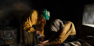 CINECLUB VIC. Honeyland