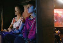 CINECLUB VIC. El llac de l’oca salvatge