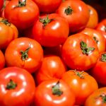 pile-of-fresh-and-delicious-tomatoes