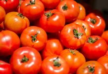 “Els colors de la natura”