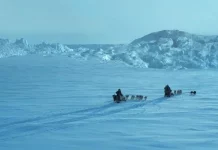 Crítica de “Against The Ice”, de Peter Flinth