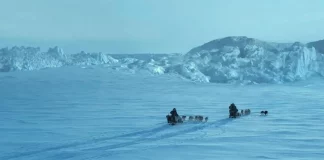 Crítica de “Against The Ice”, de Peter Flinth