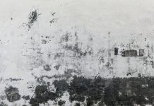 “Ruderals”, sortir dels marges