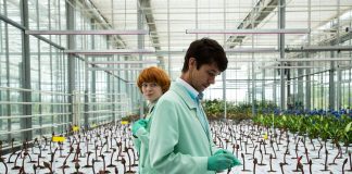 CINECLUB VIC. Little Joe