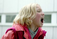 CINECLUB VIC. System Crasher