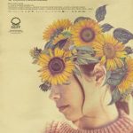 girasoles silvestres