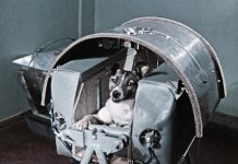 “Lladrucs a les estrelles”, Aniol Florensa