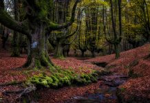 “El país dels sabirs”, d’Oriol Canosa