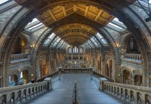 La ciència et repta!