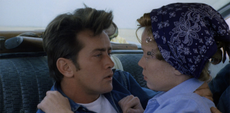 CINECLUB VIC. Males terres