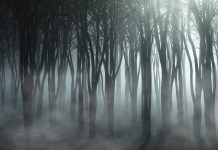 “Nuestra parte de noche”, Mariana Enríquez