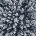 Aerial view of a beautiful winter landscape with fir trees covered in snow