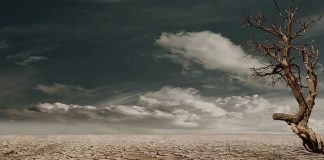 “Els desposseïts” de Ursula K. Le Guin