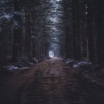 A narrow muddy road in a dark forest