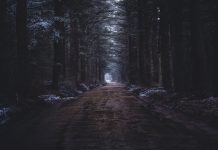 “Amigo imaginario”, Stephen Chbosky