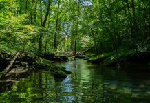 Un estiu per experimentar