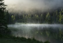 “El carnisser i l’ocell”, Alaina Urquhart