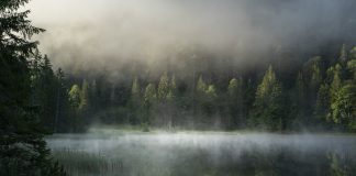 “El carnisser i l’ocell”, Alaina Urquhart