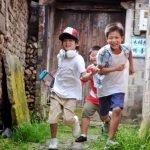 17977636946209963_lescribacat