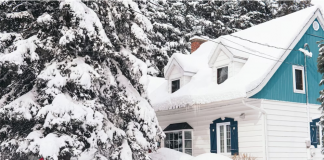 “Tothom a la meva família ha matat algú”, Benjamin Stevenson